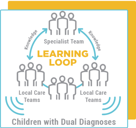 learning loop for dual diagnoses-3